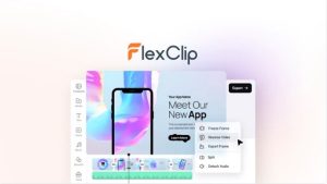 flexclip lifetime deal